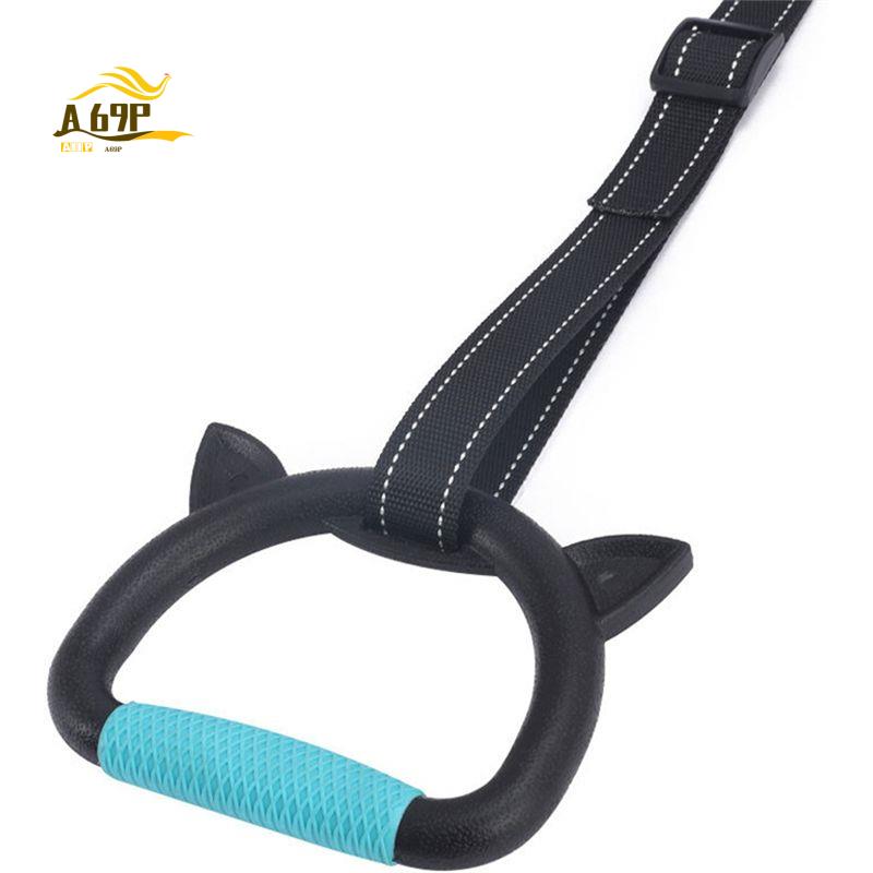A69P-professionele gymnastiekr - Kids Outdoor Balance Beam recensie en prijs